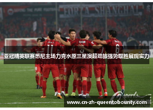 亚冠精英联赛悉尼主场力克水原三星澳超劲旅强势取胜展现实力